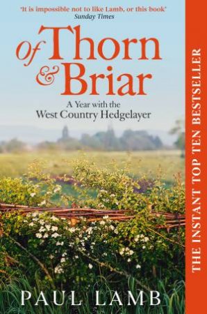 Of Thorn & Briar by Paul Lamb