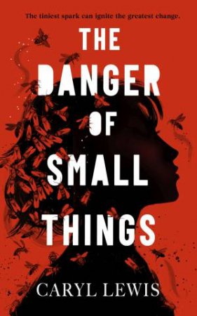 The Danger of Small Things by Caryl Lewis