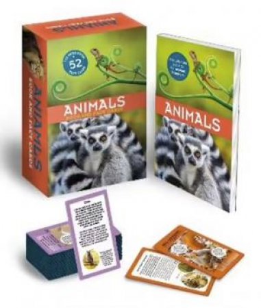 Animals: Book And Fact Cards by Various