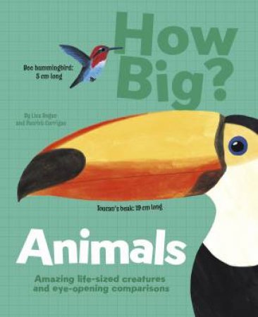 How Big? Animals by Lisa Regan