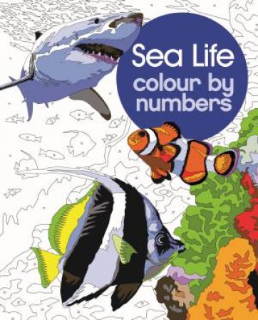 Sea Life Colour By Numbers by David Woodroffe