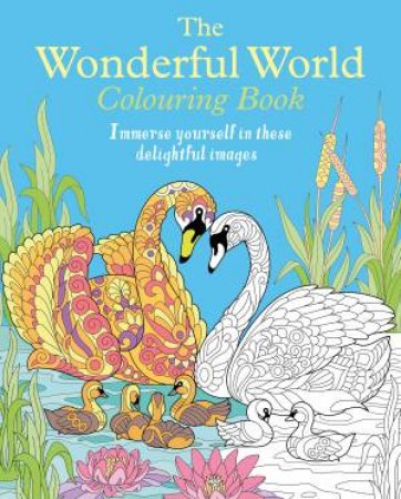 The Wonderful World Colouring Book by Various