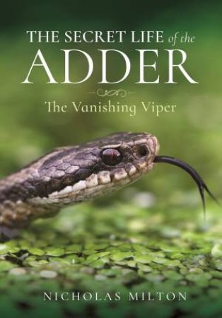 Secret Life Of The Adder: The Vanishing Viper by Nicholas Milton