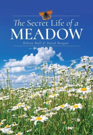 Secret Life of a Meadow