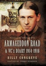 Armageddon Road A VCs Diary 19141916