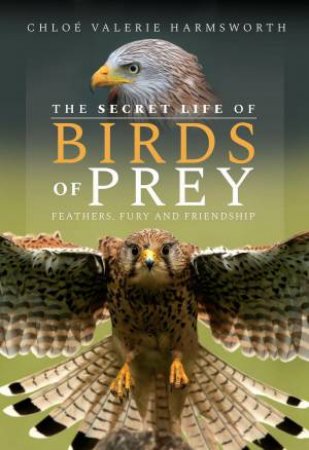 Secret Life of Birds of Prey: Feathers, Fury and Friendship