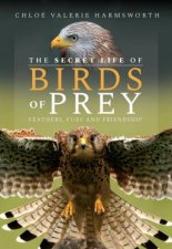 Secret Life of Birds of Prey Feathers Fury and Friendship