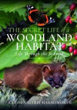 Secret Life Of A Woodland Habitat Life Through The Seasons