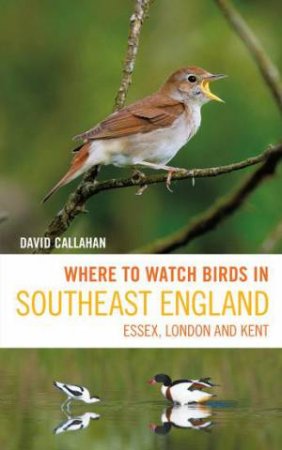 Where to Watch Birds in Southeast England by David Callahan