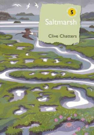 Saltmarsh by Clive Chatters