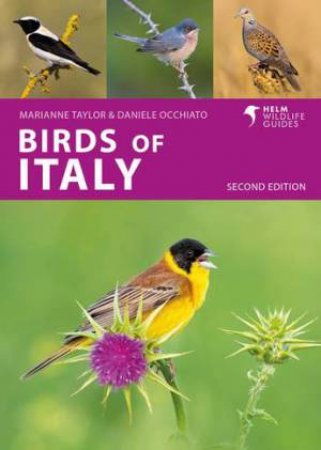 Birds of Italy by Daniele Occhiato & Marianne Taylor