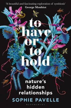 To Have or To Hold by Sophie Pavelle