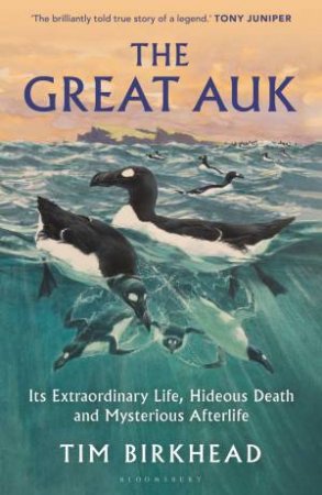 The Great Auk by Tim Birkhead
