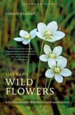 Harraps Wild Flowers