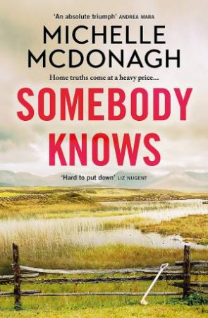 Somebody Knows by Michelle McDonagh