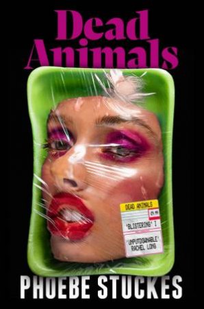 Dead Animals by Phoebe Stuckes