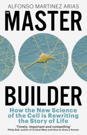 The Master Builder by Alfonso Martinez Arias