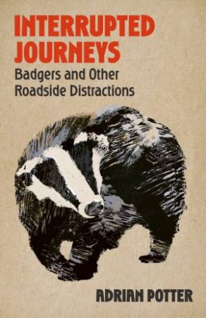 Interrupted Journeys by Adrian Potter