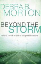 Beyond The Storm How To Thrive In Lifes Toughest Seasons