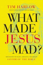 What Made Jesus Mad Rediscover The Blunt Sarcastic Passionate SaviorOf The Bible