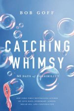 Catching Whimsy 365 Days Of Possibility