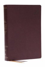 Peace of God Bible Discover and Experience Gods Shalom Throughout the Bible NKJV Burgundy Red Letter Comfort Print