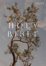 NRSV Catholic Edition Bible Eucalyptus Hardcover Global Cover SeriesHoly Bible