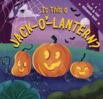 Is This A Jack O Lantern A Spooktacular Touchandfeel Book