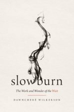 Slow Burn The Work and Wonder of the Wait