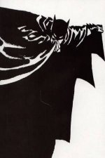 Batman Year One