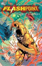 The World of Flashpoint