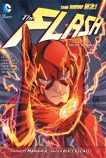 The Flash Vol 01