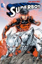 Superboy Vol 4 Blood And Steel