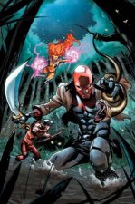 Red Hood And The Outlaws Vol 7 The New 52