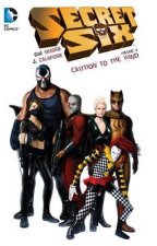 Secret Six Vol 4