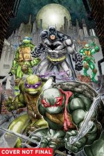 BatmanTMNT Vol 01