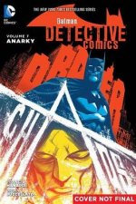 Batman Detective Comics Vol 07