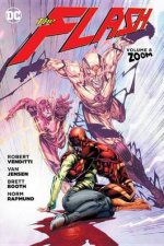 The Flash Vol 8 Zoom