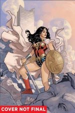 Wonder Woman A Celebration Of 75 Years