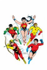 Teen Titans The Silver Age Omnibus Vol 1