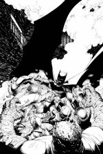 Batman In The Court Of Owls An Adult Coloring Book