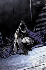 Batman Vol 4 The War Of Jokes And Riddles Rebirth