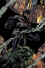 Batman Vol 5 Rules Of Engagement Rebirth