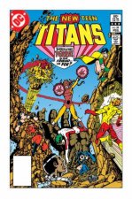 New Teen Titans Vol 2 Omnibus New Edition