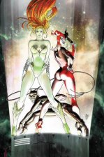 Harley Quinn  The Gotham City Sirens Omnibus