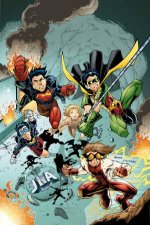 Young Justice Book Three