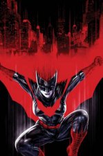 Batwoman Vol 3 The Fall Of The House Of Kane