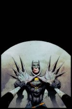 Batman By Scott Snyder  Greg Capullo Box Set 3