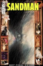 The Sandman The Deluxe Edition Book One