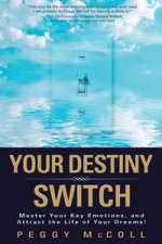 Your Destiny Switch Master Your Key Emotions And Attract The Life Of Your Dreams